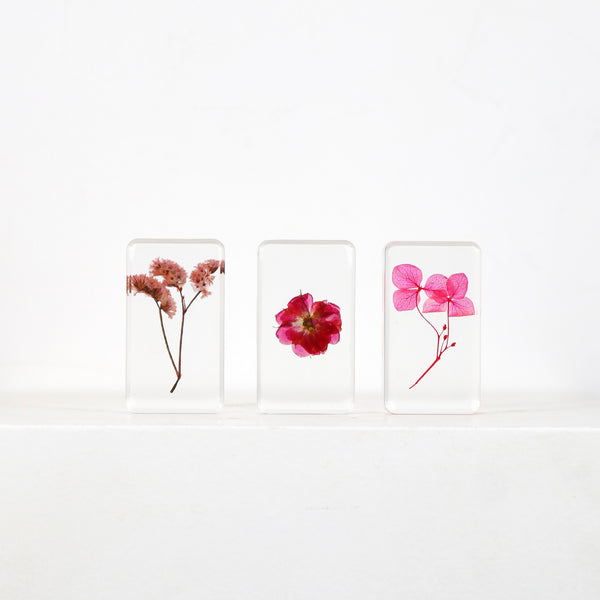 Cube fleurs fraîches