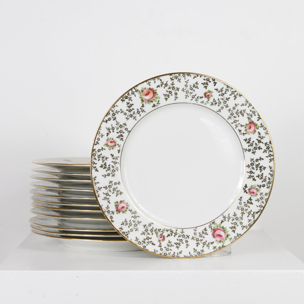 Assiette porcelaine DEBEAULIEU